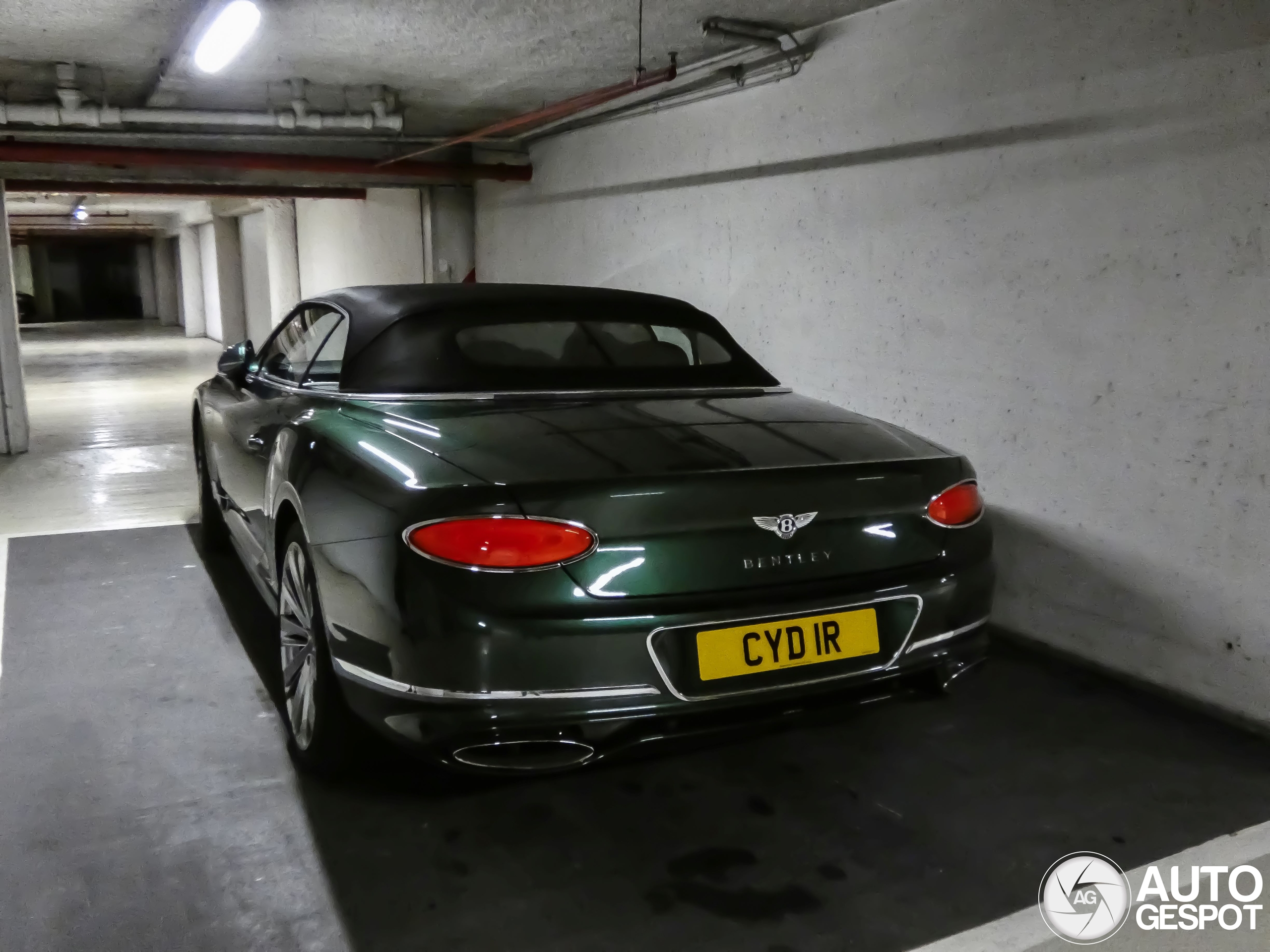 Bentley Continental GTC Speed 2021