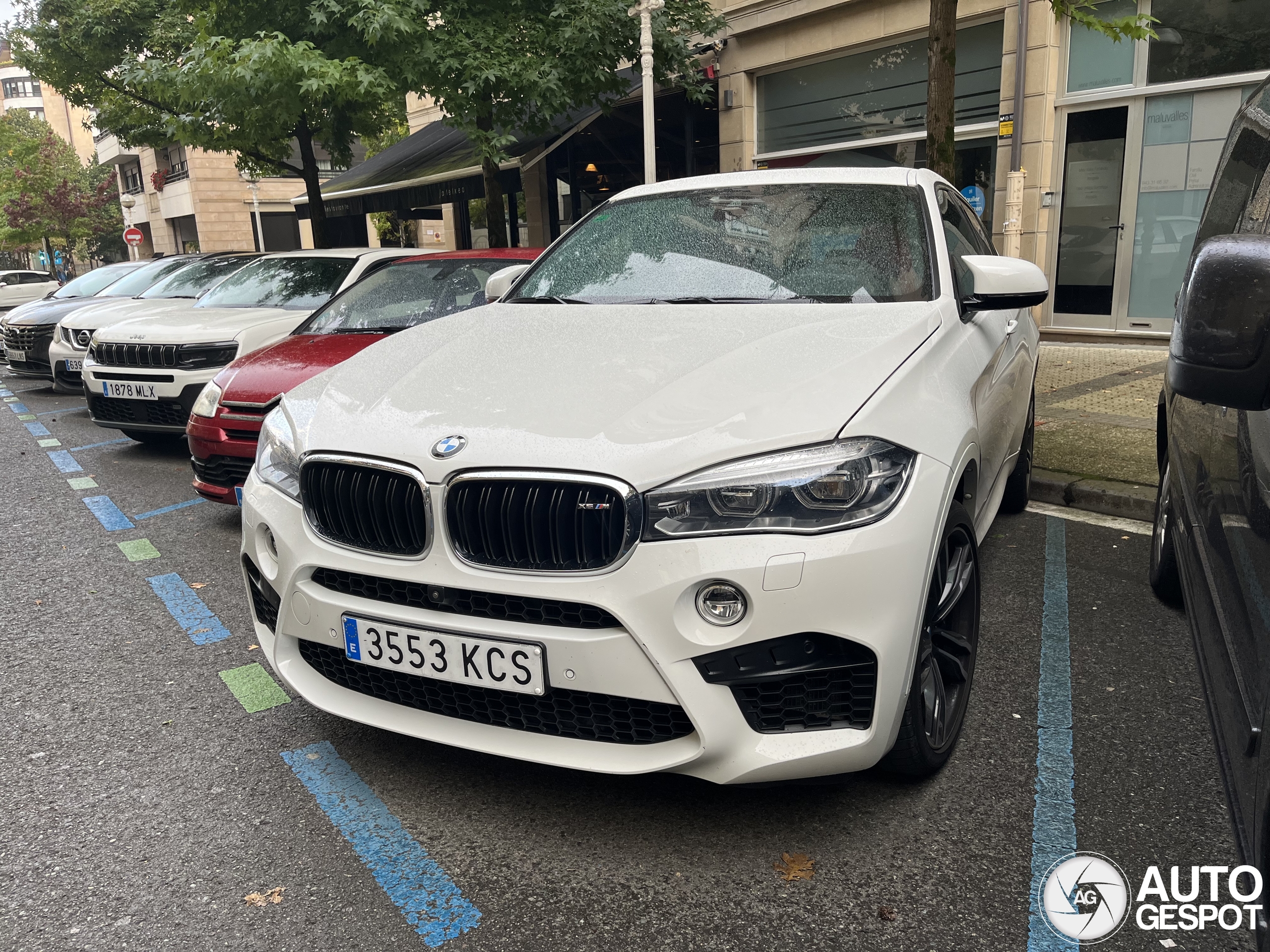 BMW X6 M F86