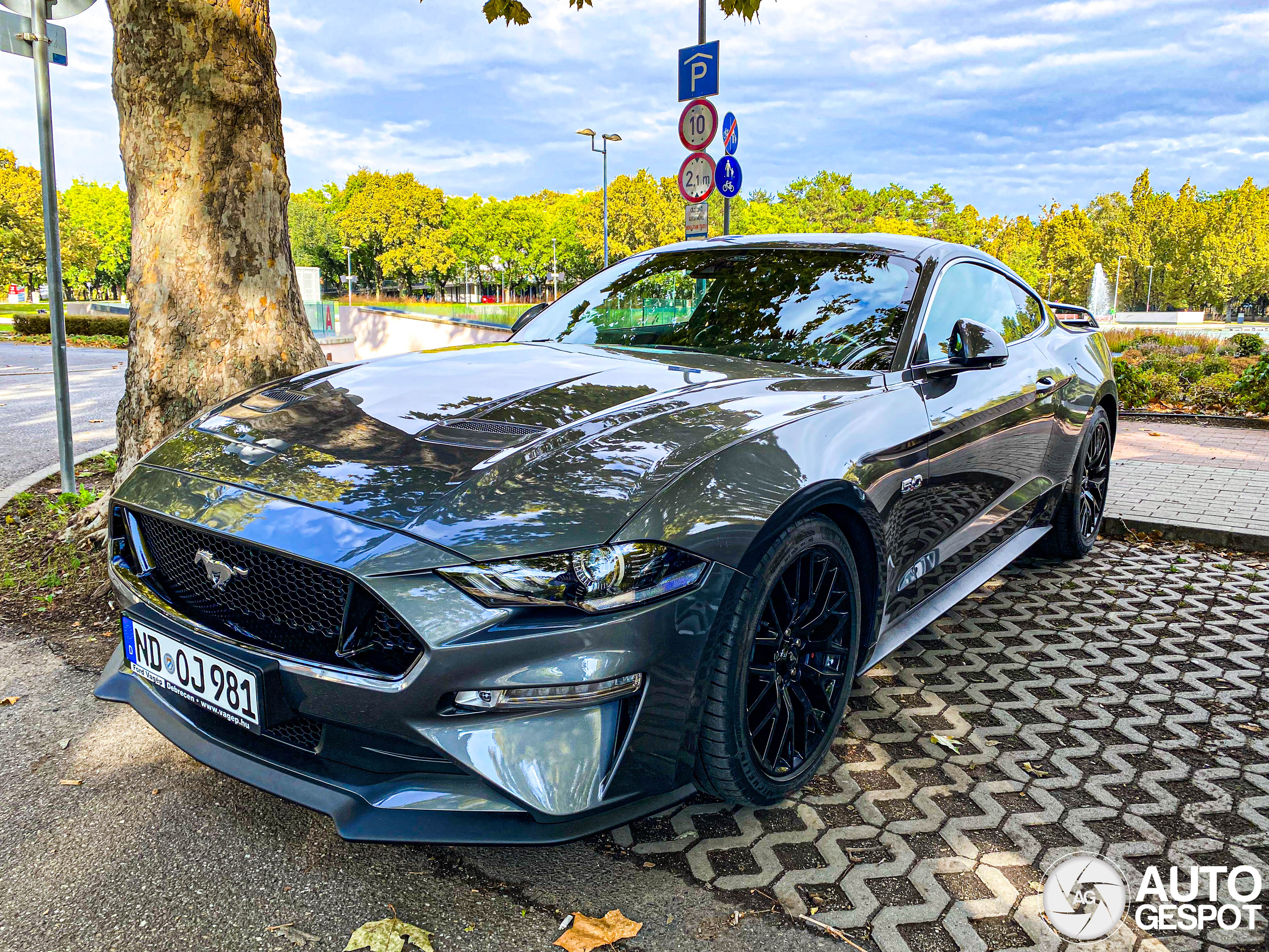 Ford Mustang GT 2018