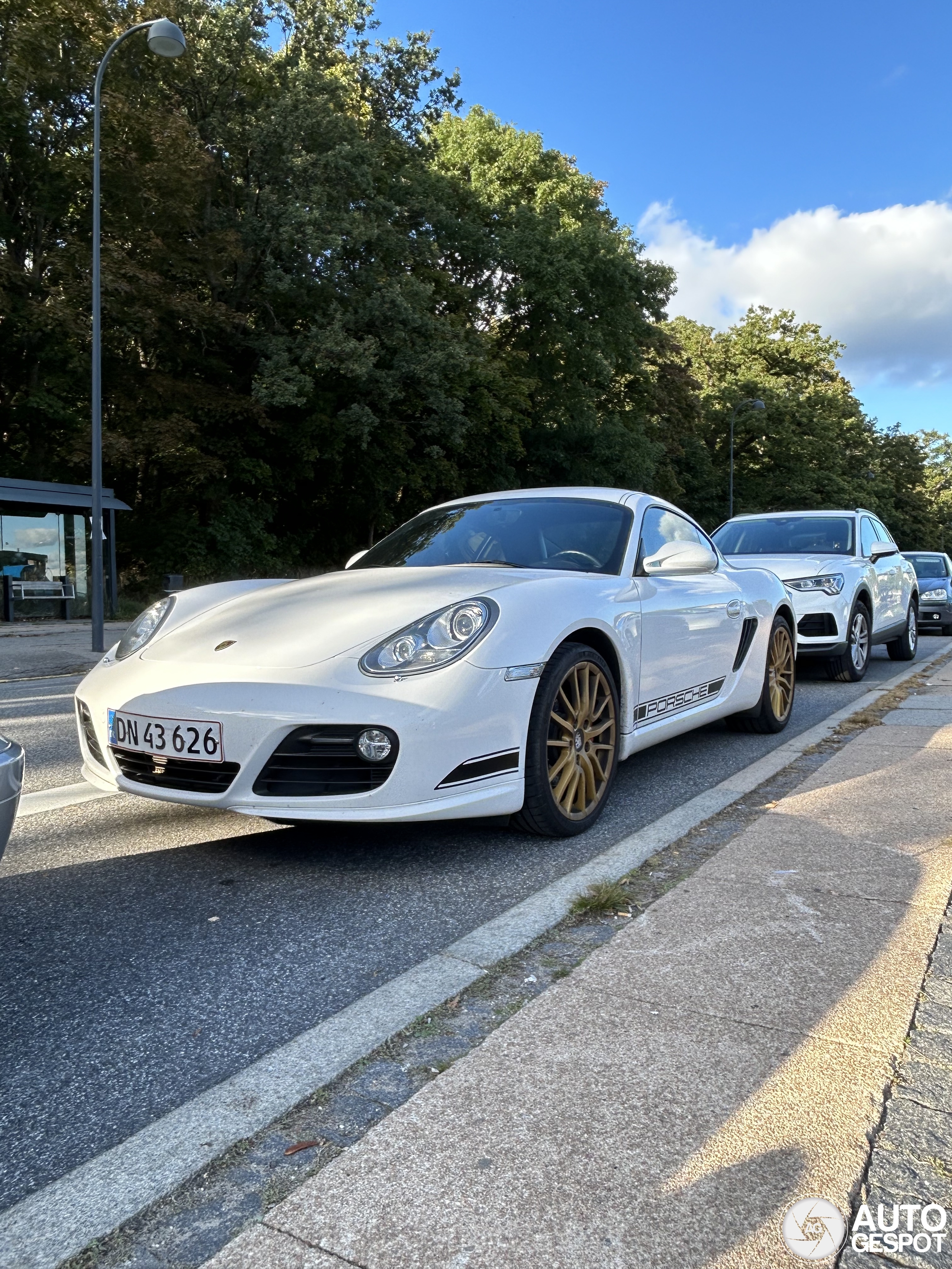 Porsche 987 Cayman S