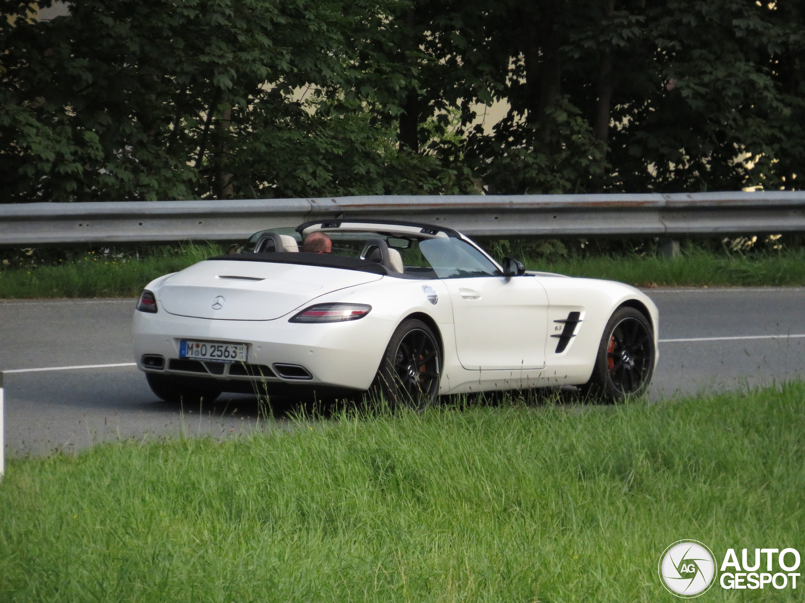 Mercedes-Benz SLS AMG Roadster