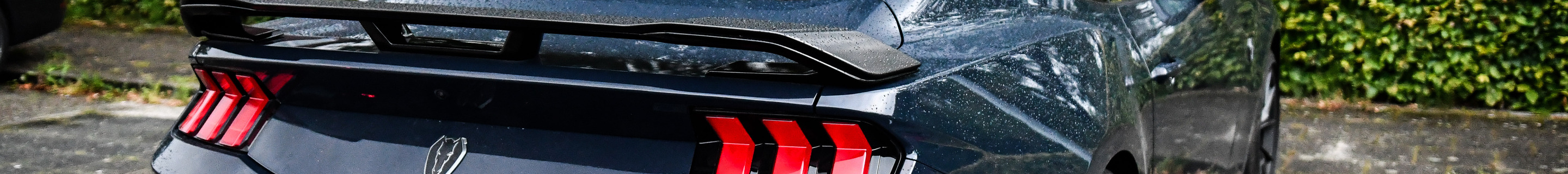 Ford Mustang Dark Horse 2024