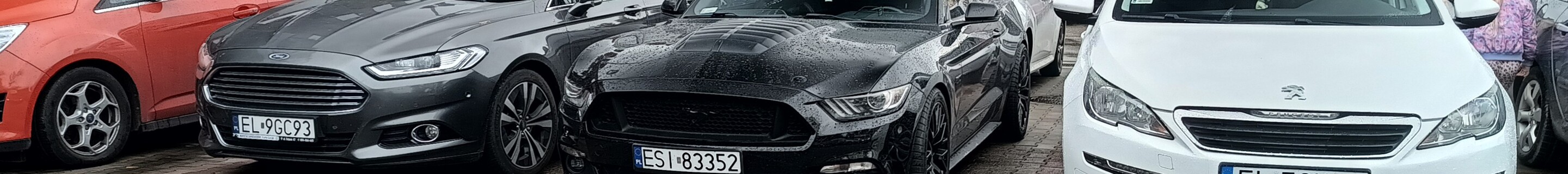 Ford Mustang GT 50th Anniversary Edition