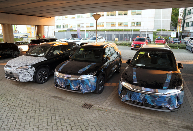 BYD Atto 2