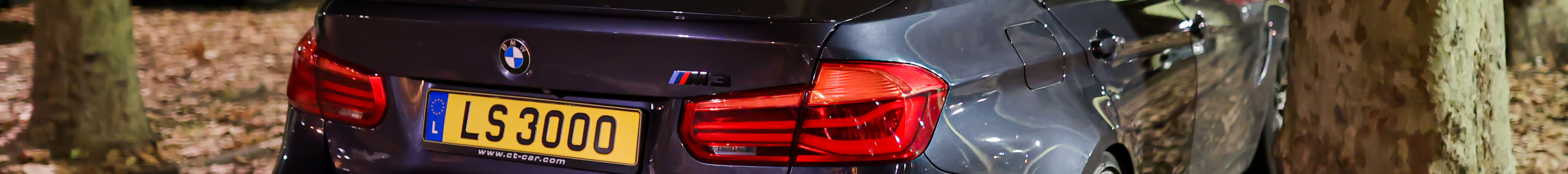BMW M3 F80 Sedan 30 Jahre Edition