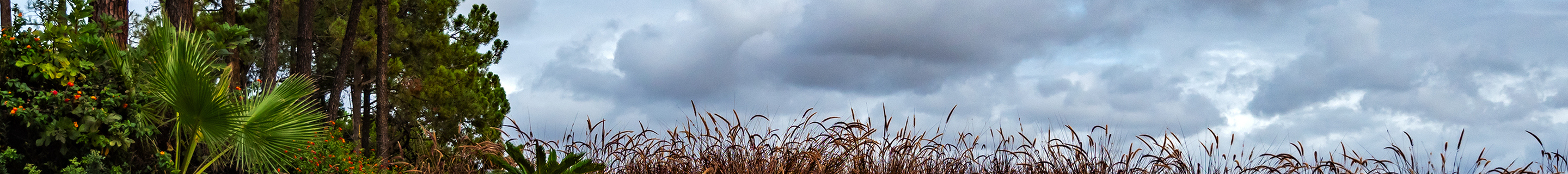 Bentley Bentayga V8 S 2022