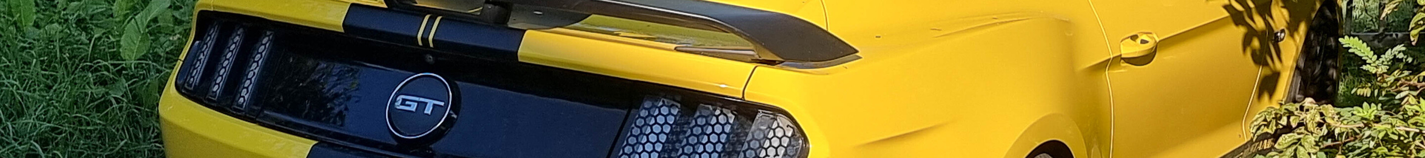 Ford Mustang GT 2015