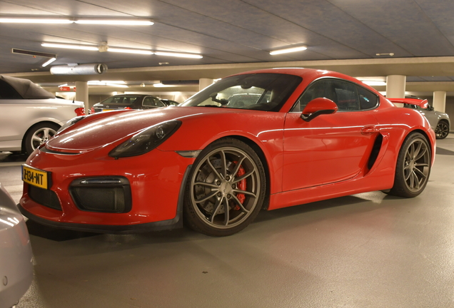 Porsche 981 Cayman GT4