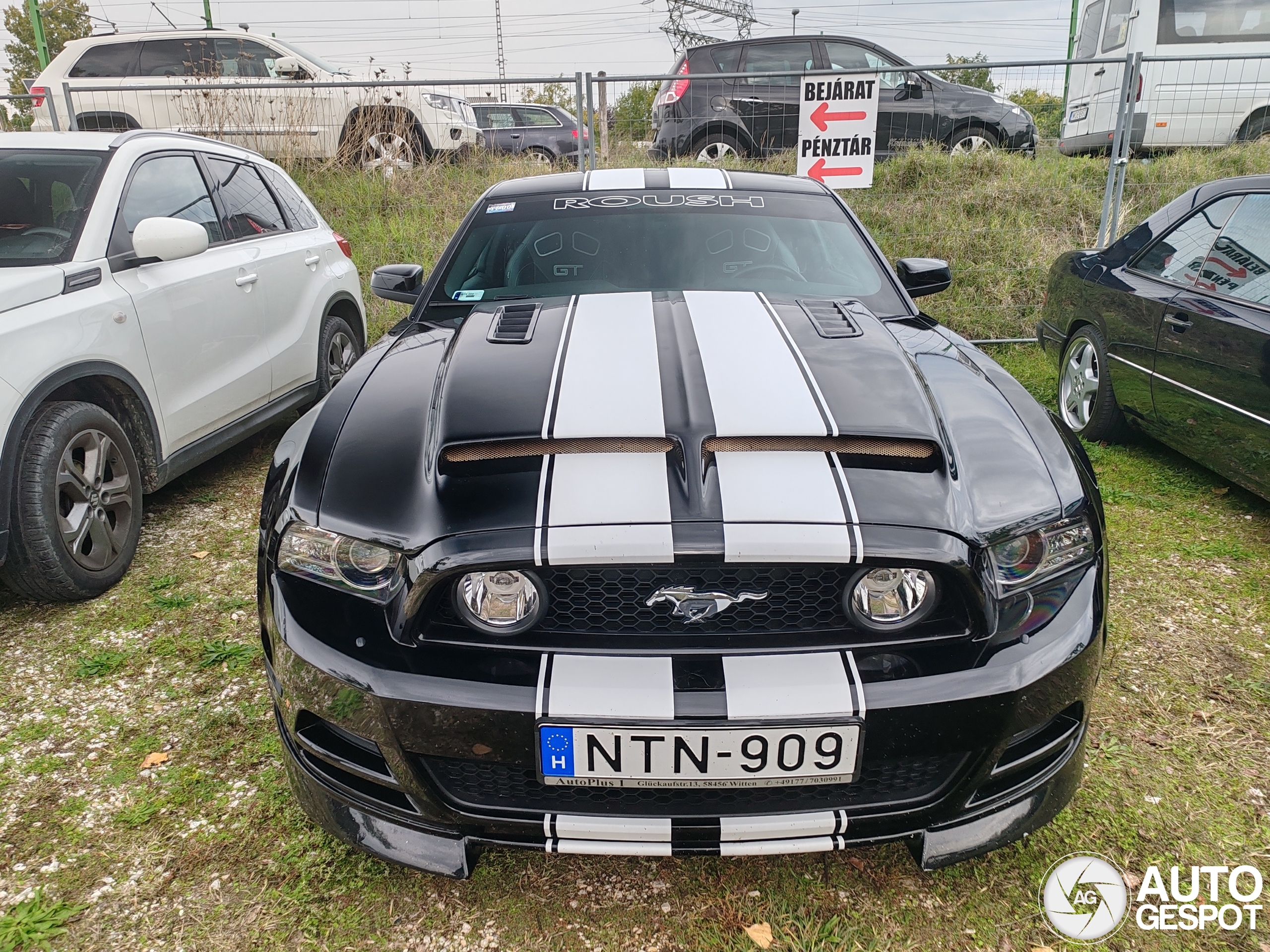 Ford Mustang GT 2013 Cervini C-Series