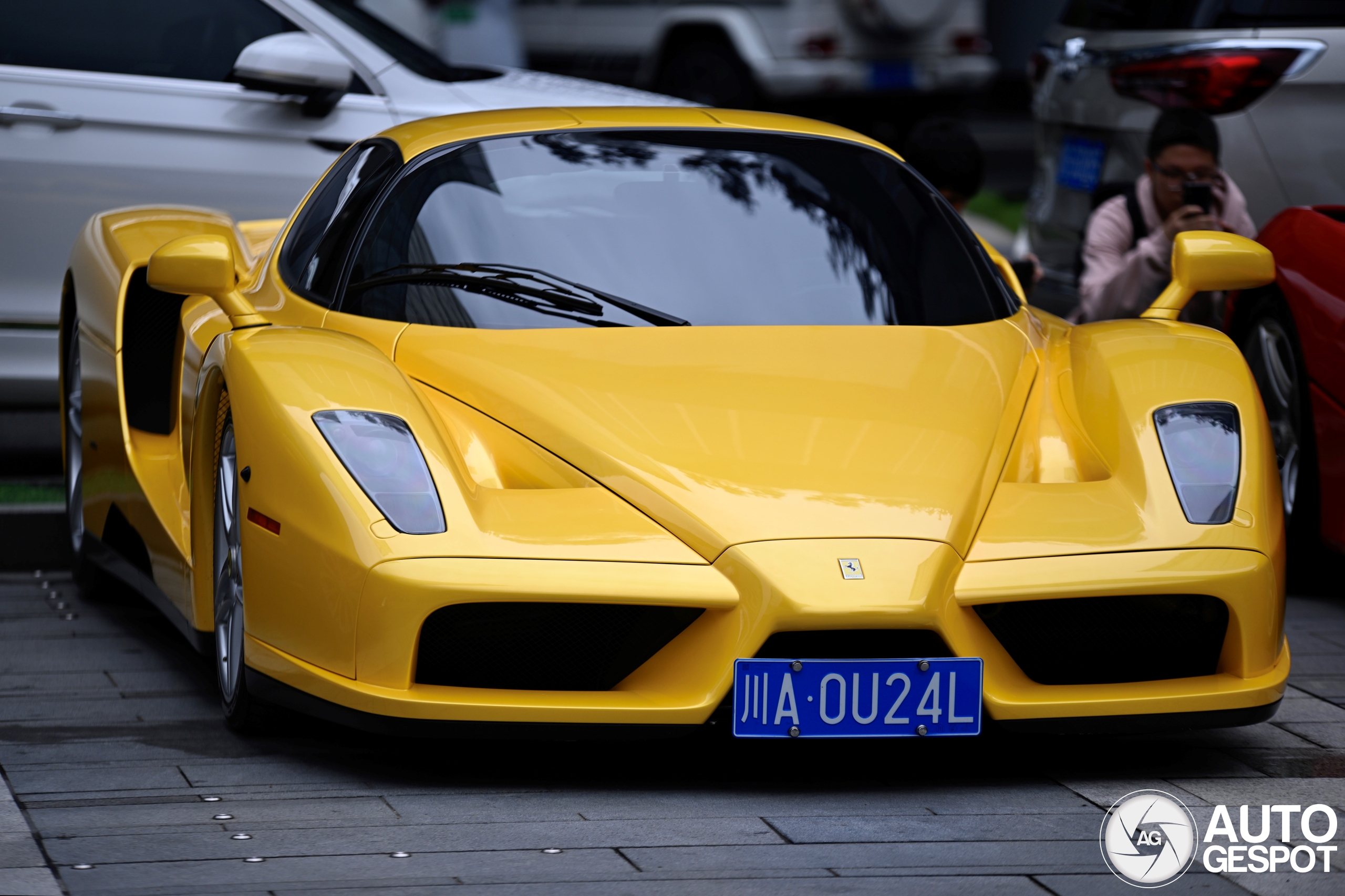 Ferrari Enzo Ferrari Novitec Rosso - 20 October 2024 - Autogespot