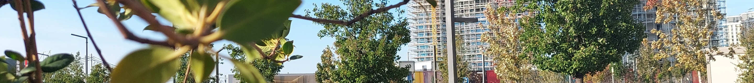 Chevrolet Corvette C7 Stingray