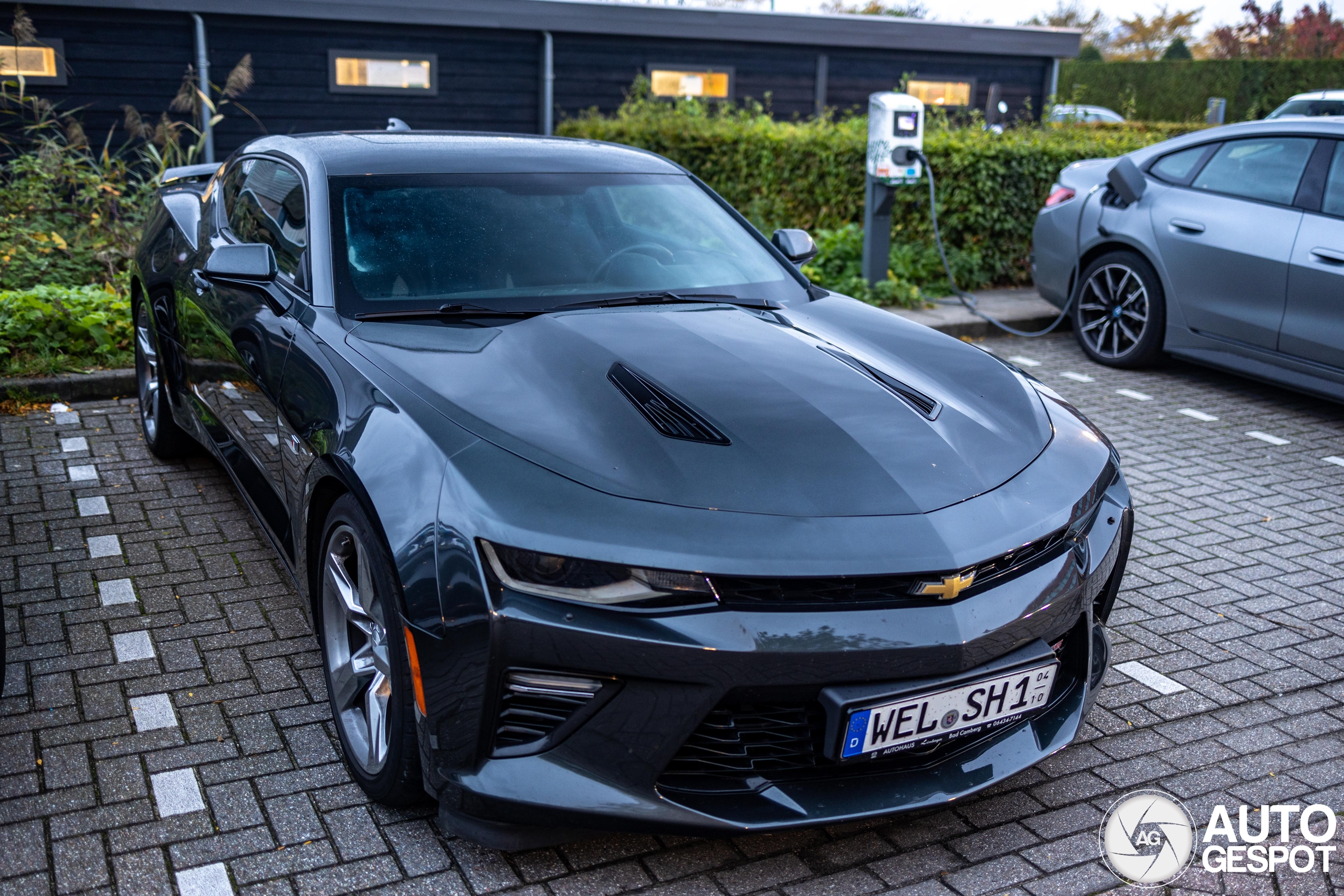 Chevrolet Camaro SS 2016 22 October 2024 Autogespot