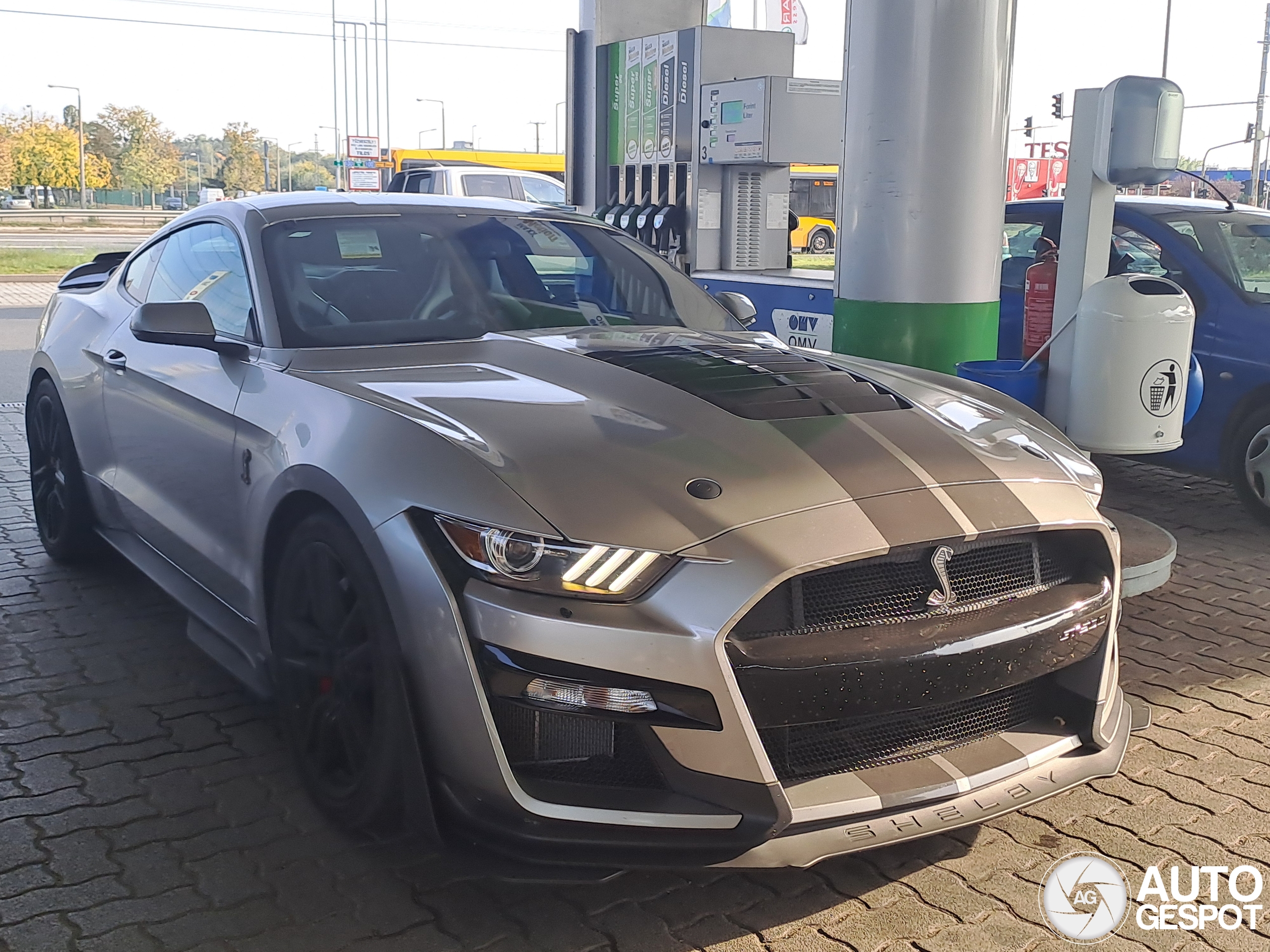 Ford Mustang Shelby GT500 23 October 2024 Autogespot