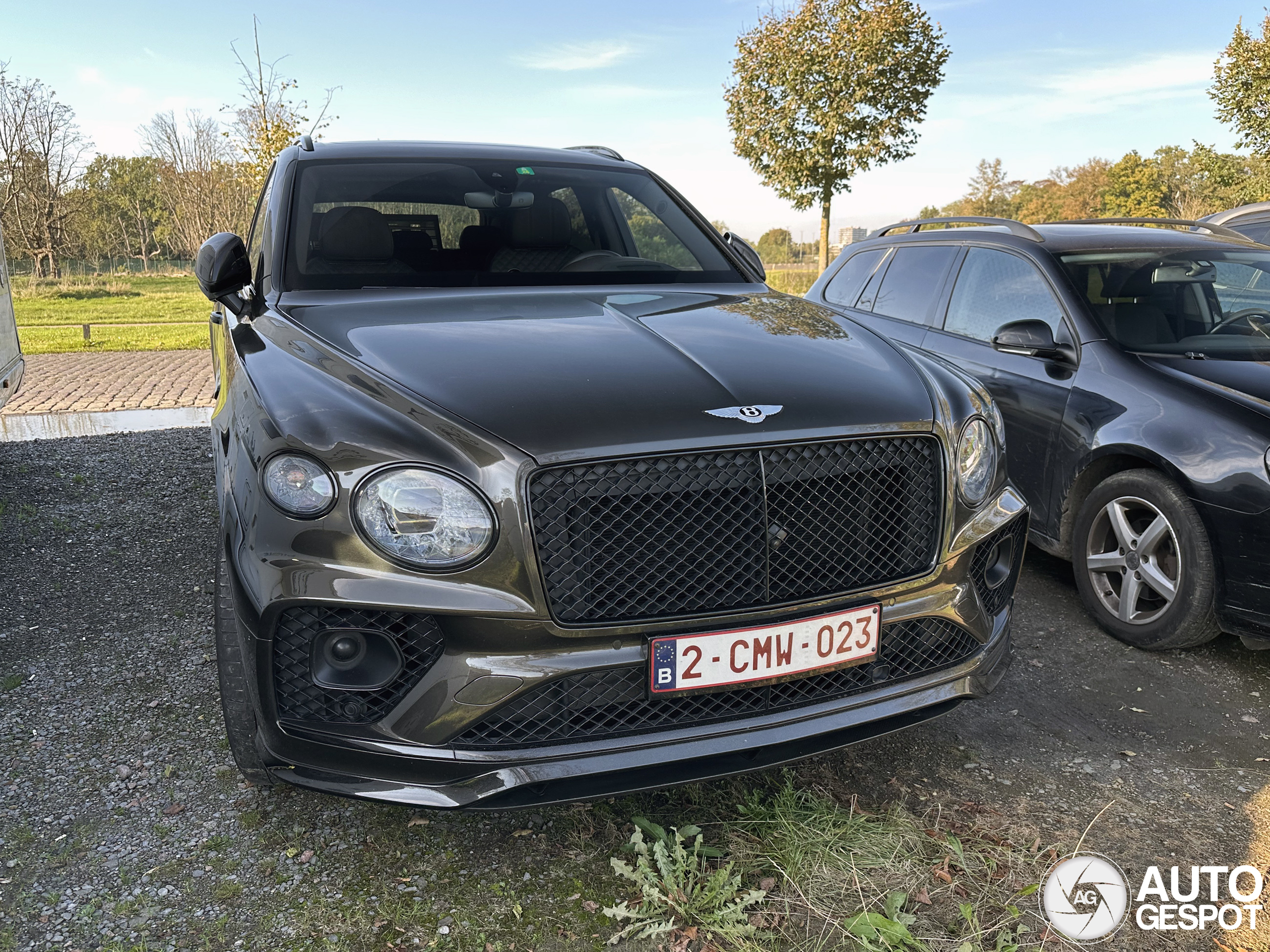 Bentley Bentayga V8 2021 Belgian Equestrian Collection