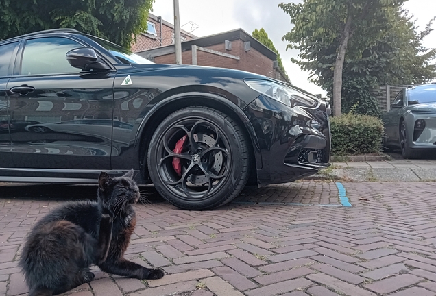 Alfa Romeo Stelvio Quadrifoglio