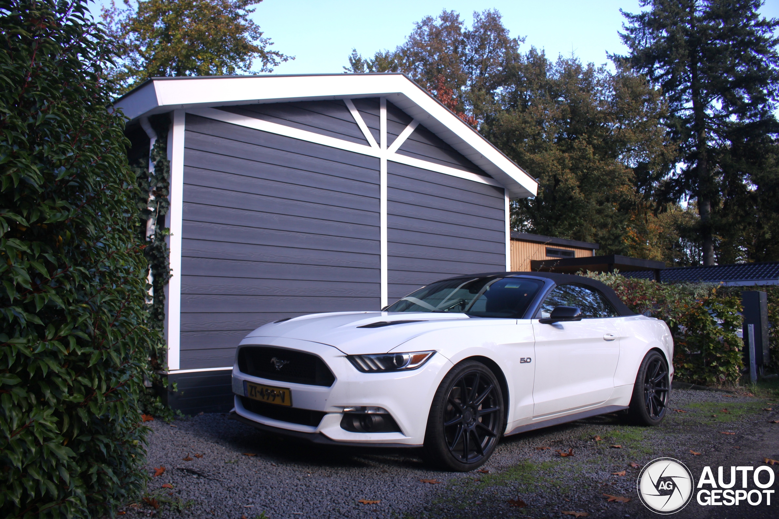 Ford Mustang GT Convertible 2015 11 November 2024 Autogespot