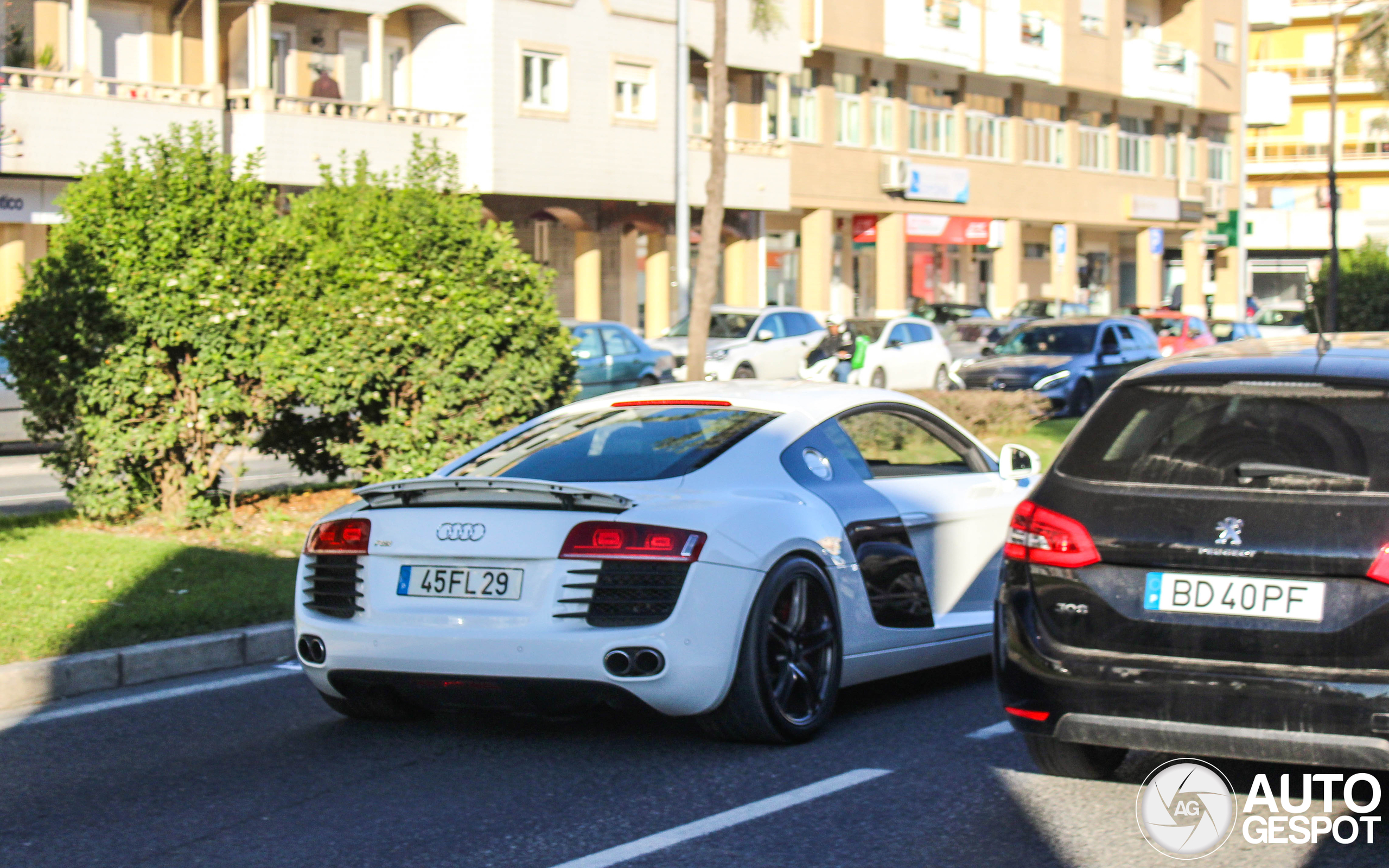 Audi R8 - 14 November 2024 - Autogespot
