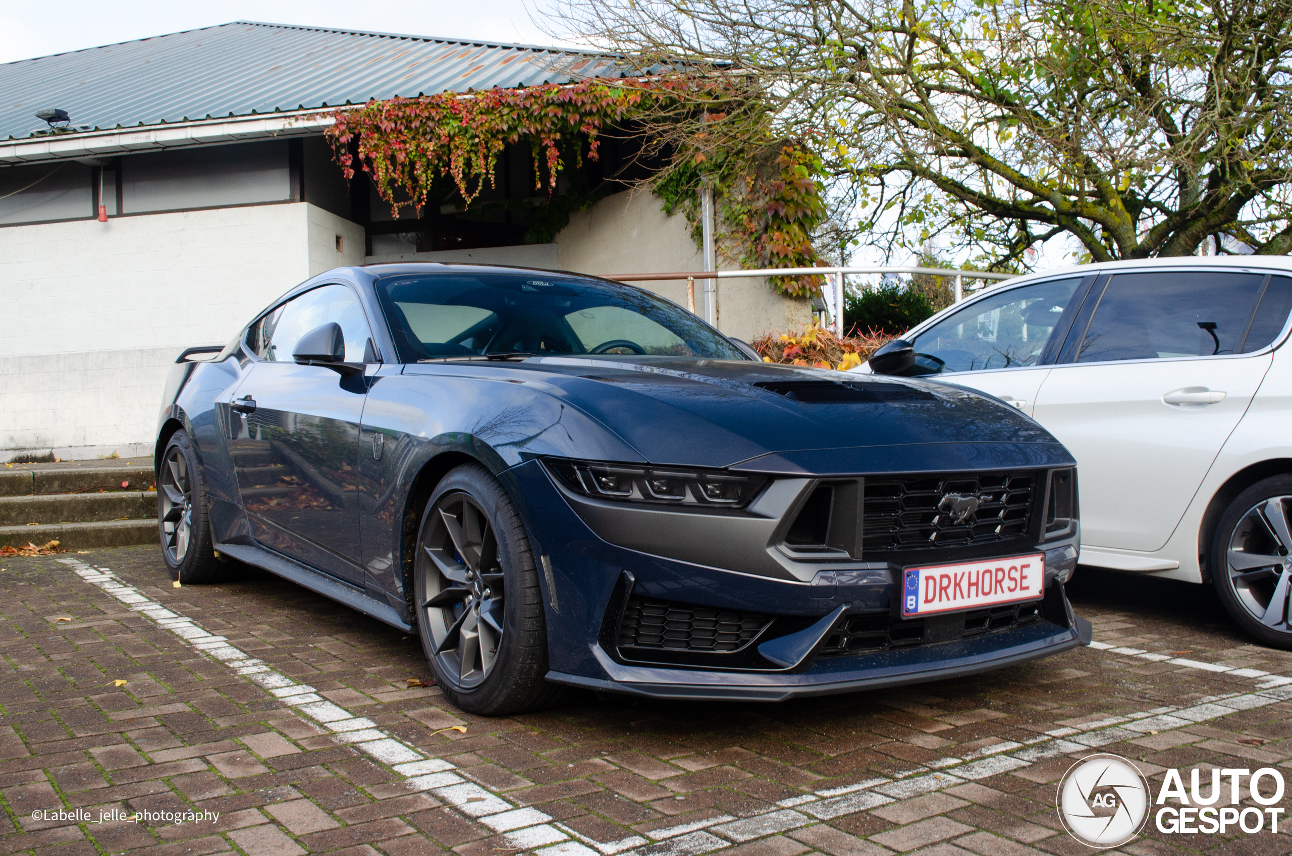 Ford Mustang Dark Horse 2024