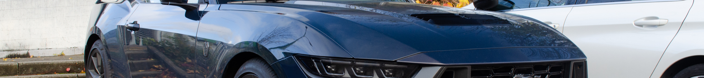 Ford Mustang Dark Horse 2024