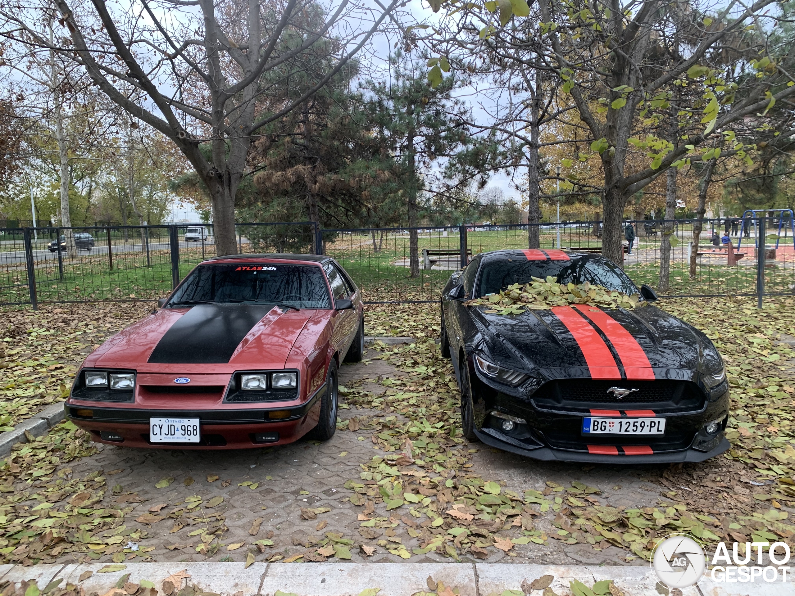 Ford Mustang GT 2015 20 November 2024 Autogespot