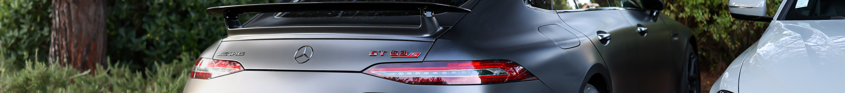 Mercedes-AMG GT 63 S E Performance X290