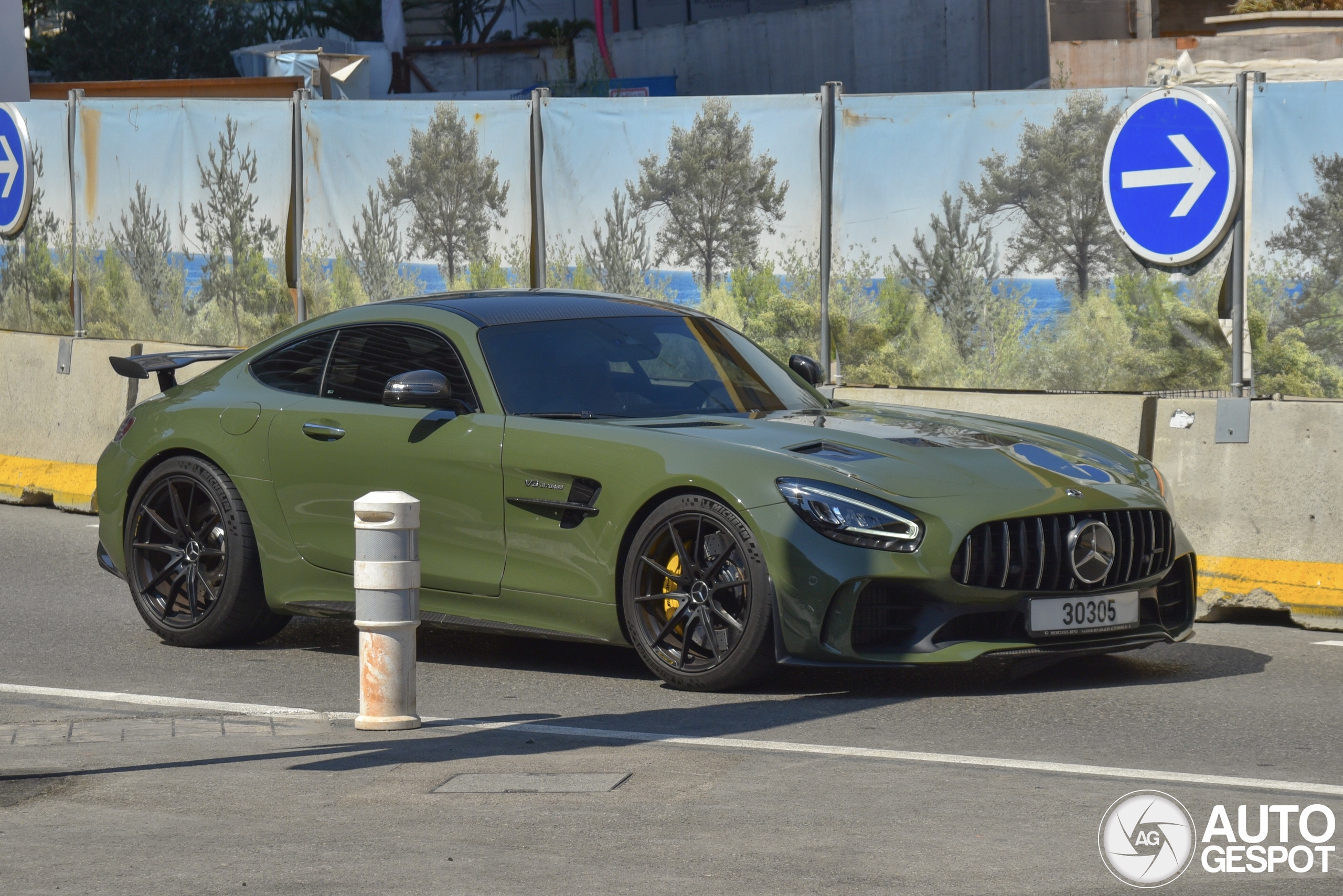 Mercedes-AMG GT R C190 2019
