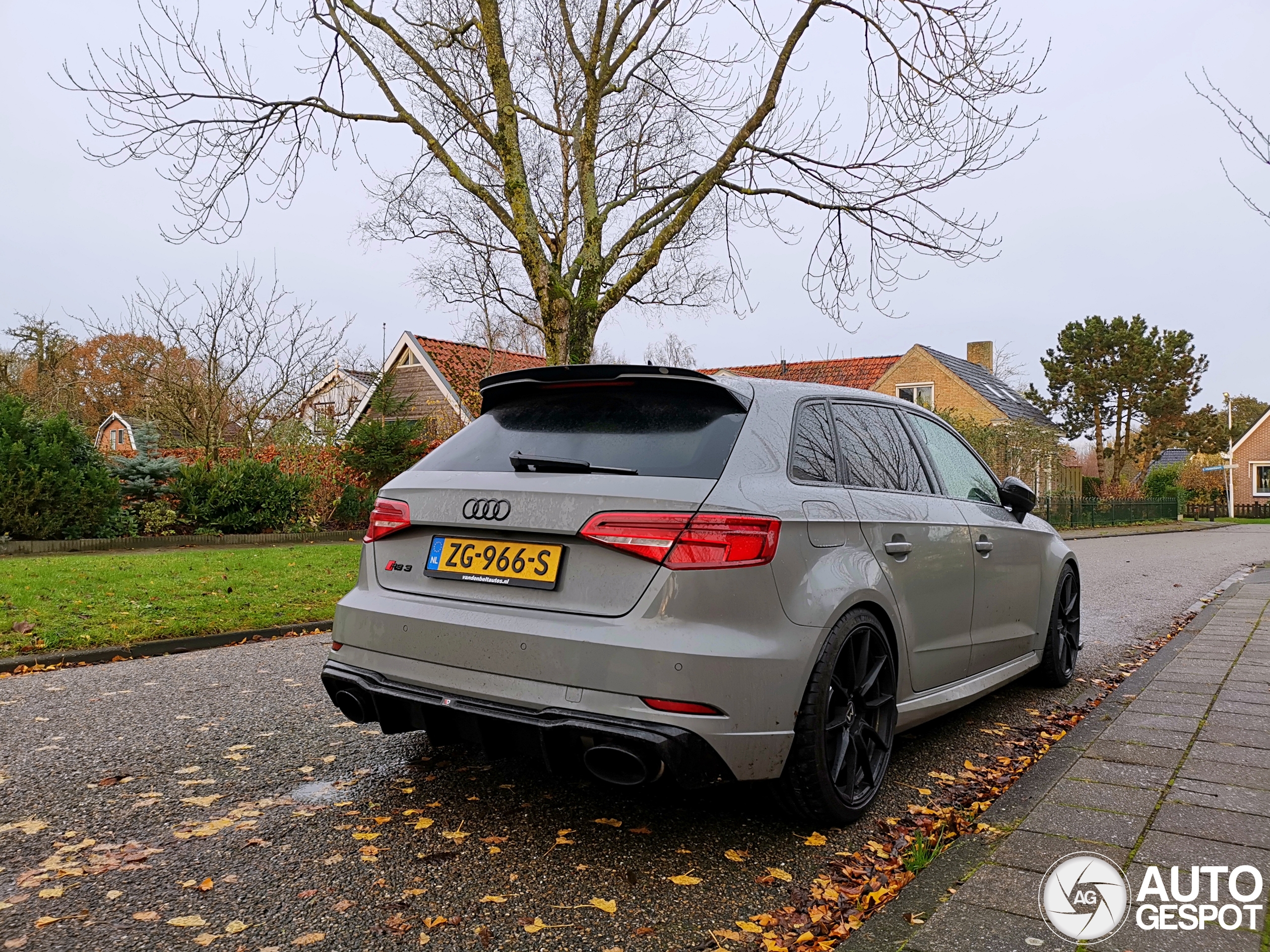 Audi RS3 Sportback 8V 2018