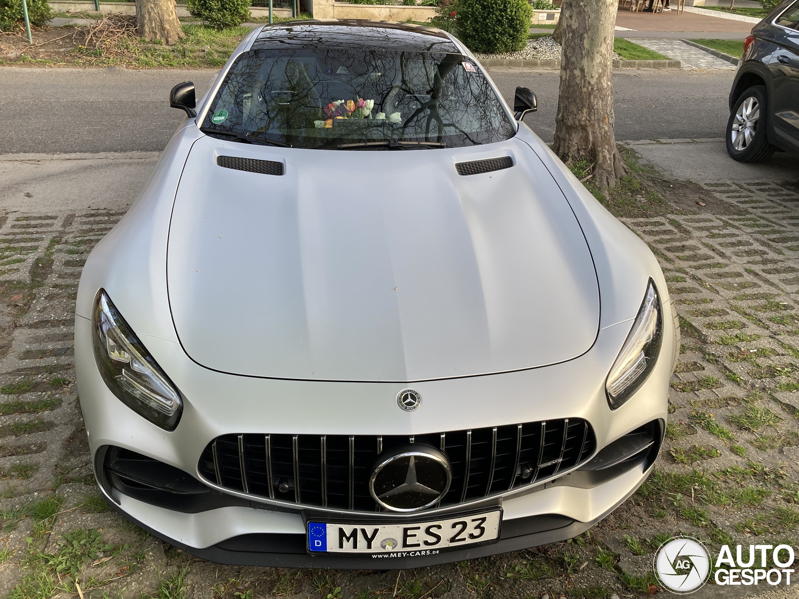 Mercedes-AMG GT C190 2019