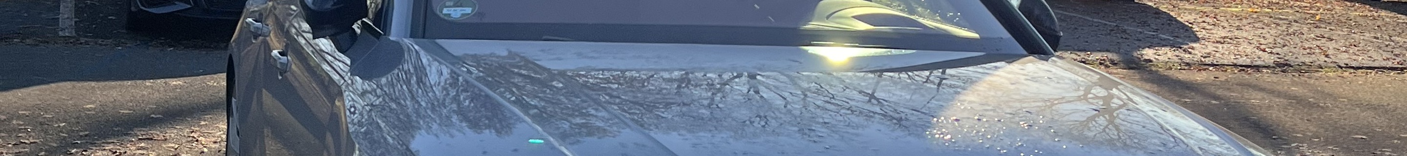 Audi RS4 Avant B9 2020