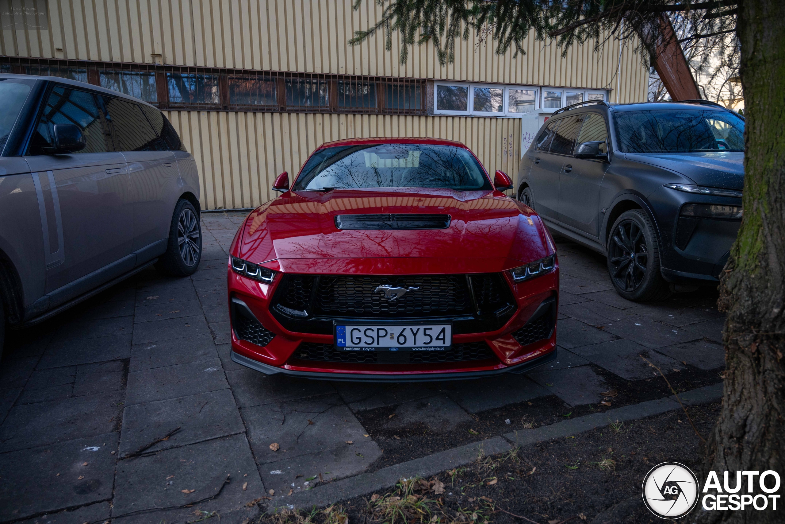 Ford Mustang GT 2024 01 December 2024 Autogespot