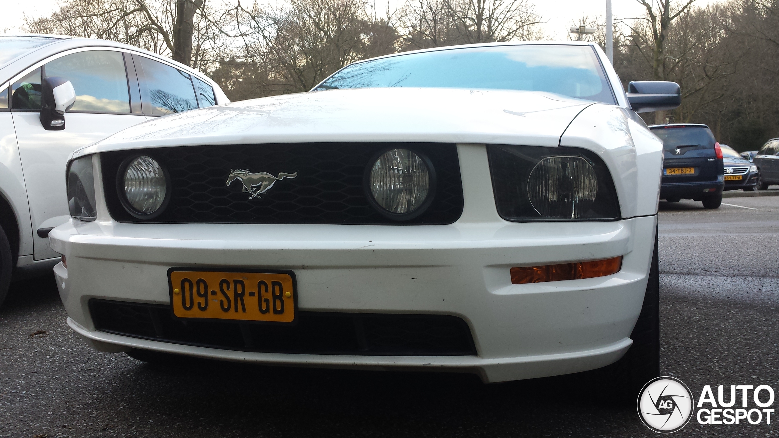 Ford Mustang GT 04 December 2024 Autogespot