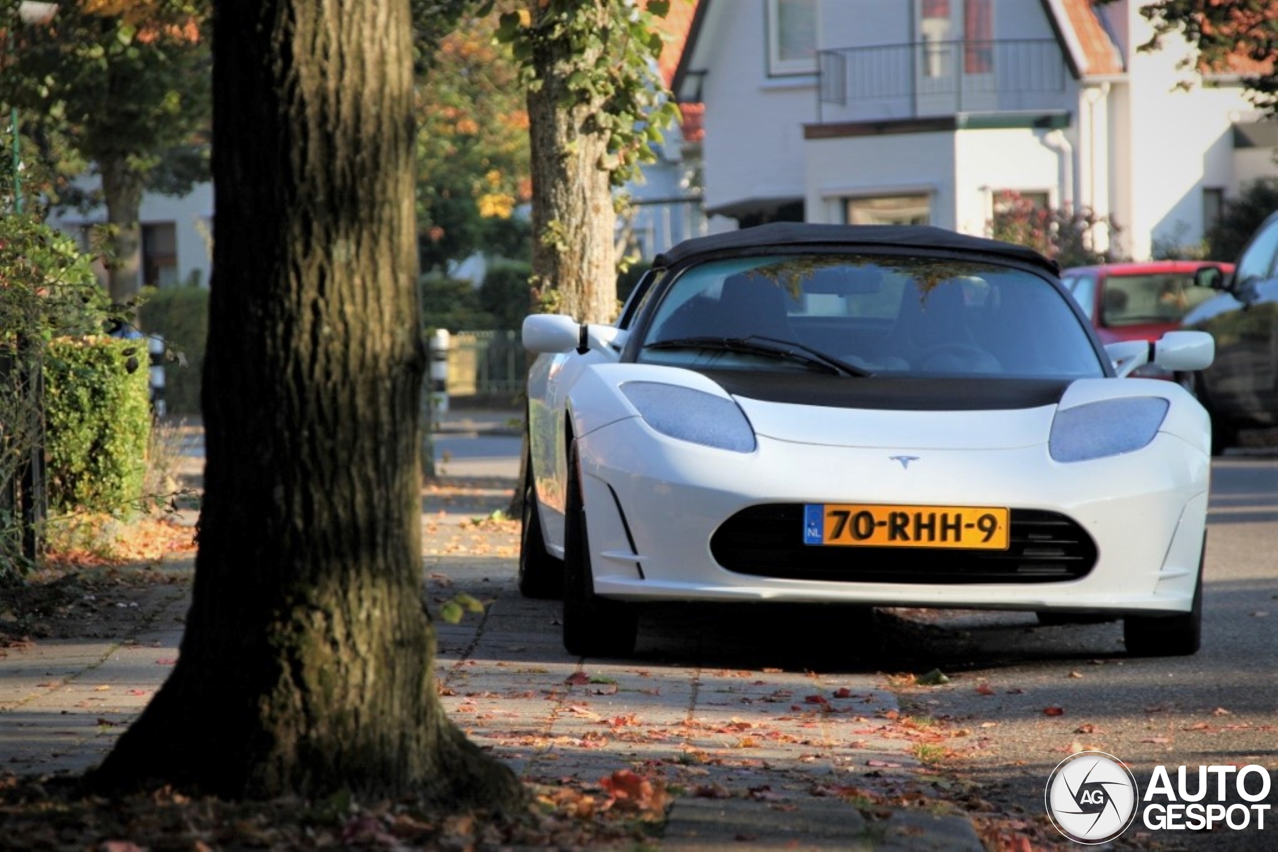 Tesla Motors Roadster 2.5