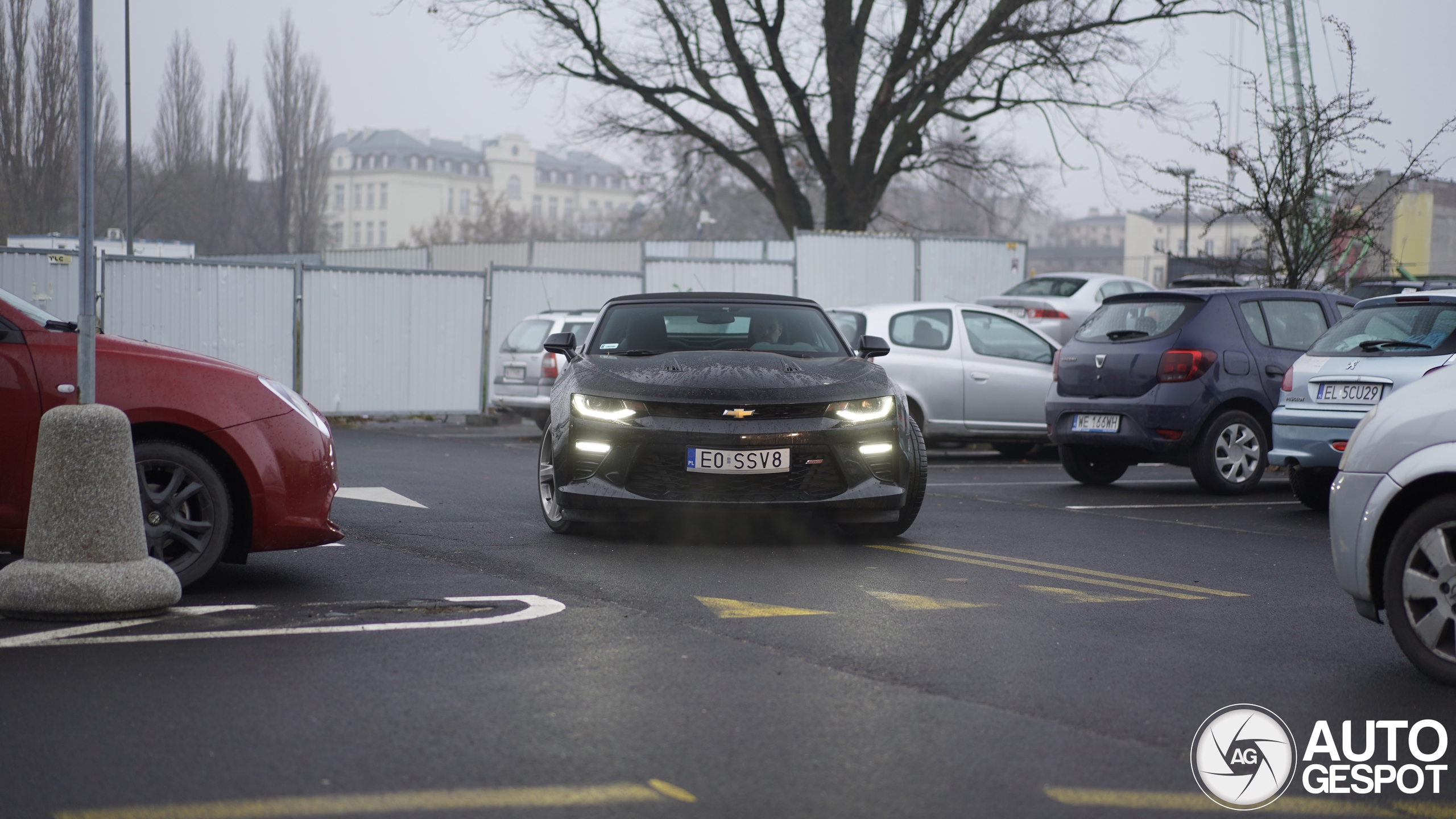 Chevrolet Camaro SS Convertible 2016 07 December 2024 Autogespot