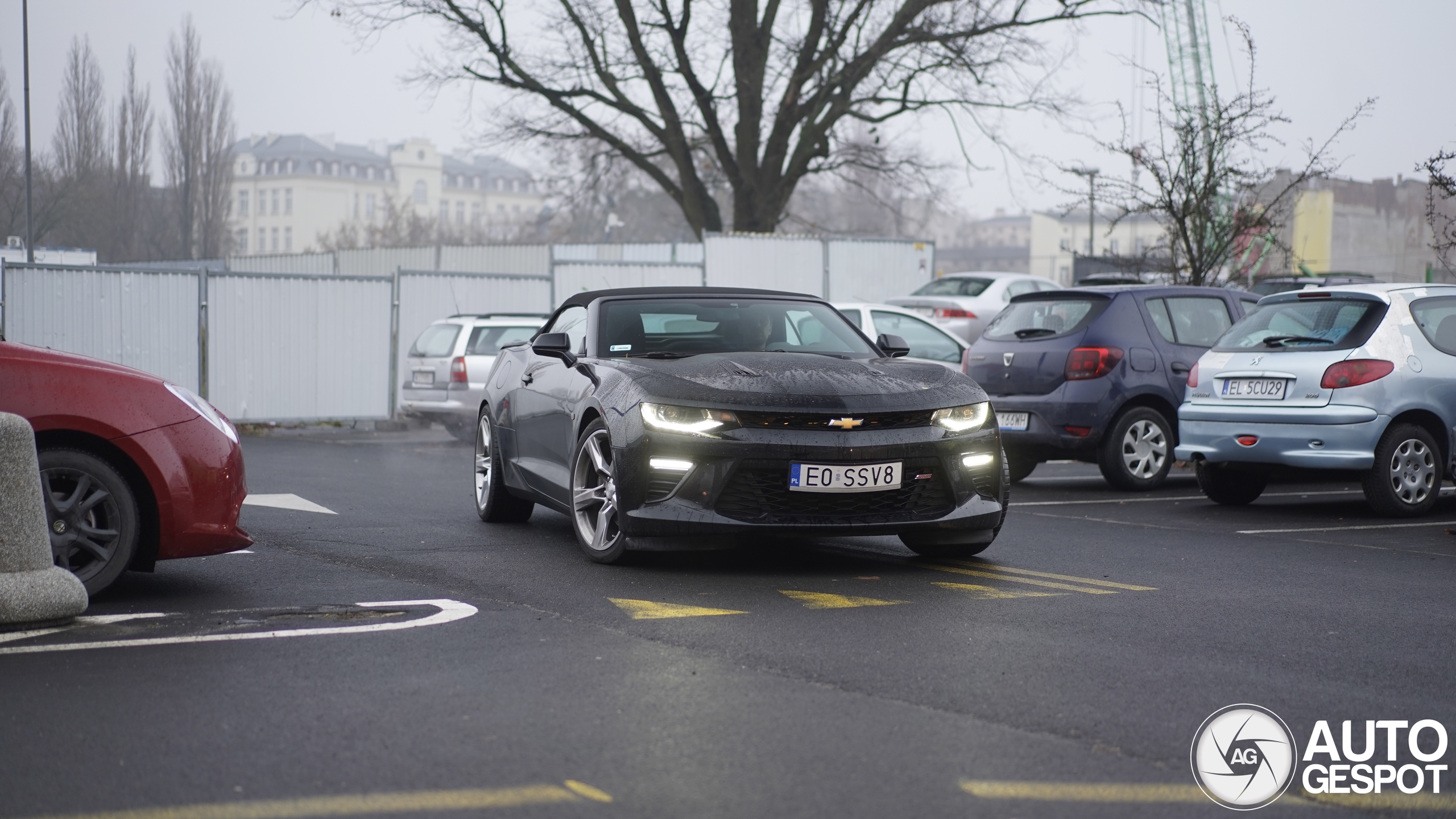 Chevrolet Camaro SS Convertible 2016 07 December 2024 Autogespot