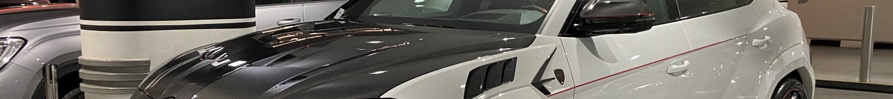 Lamborghini Urus Mansory Venatus EVO