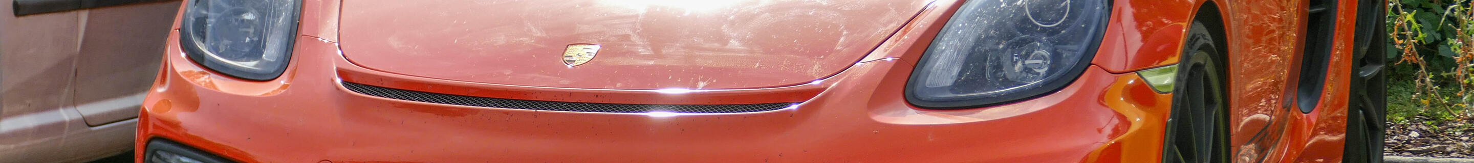 Porsche 981 Boxster Spyder