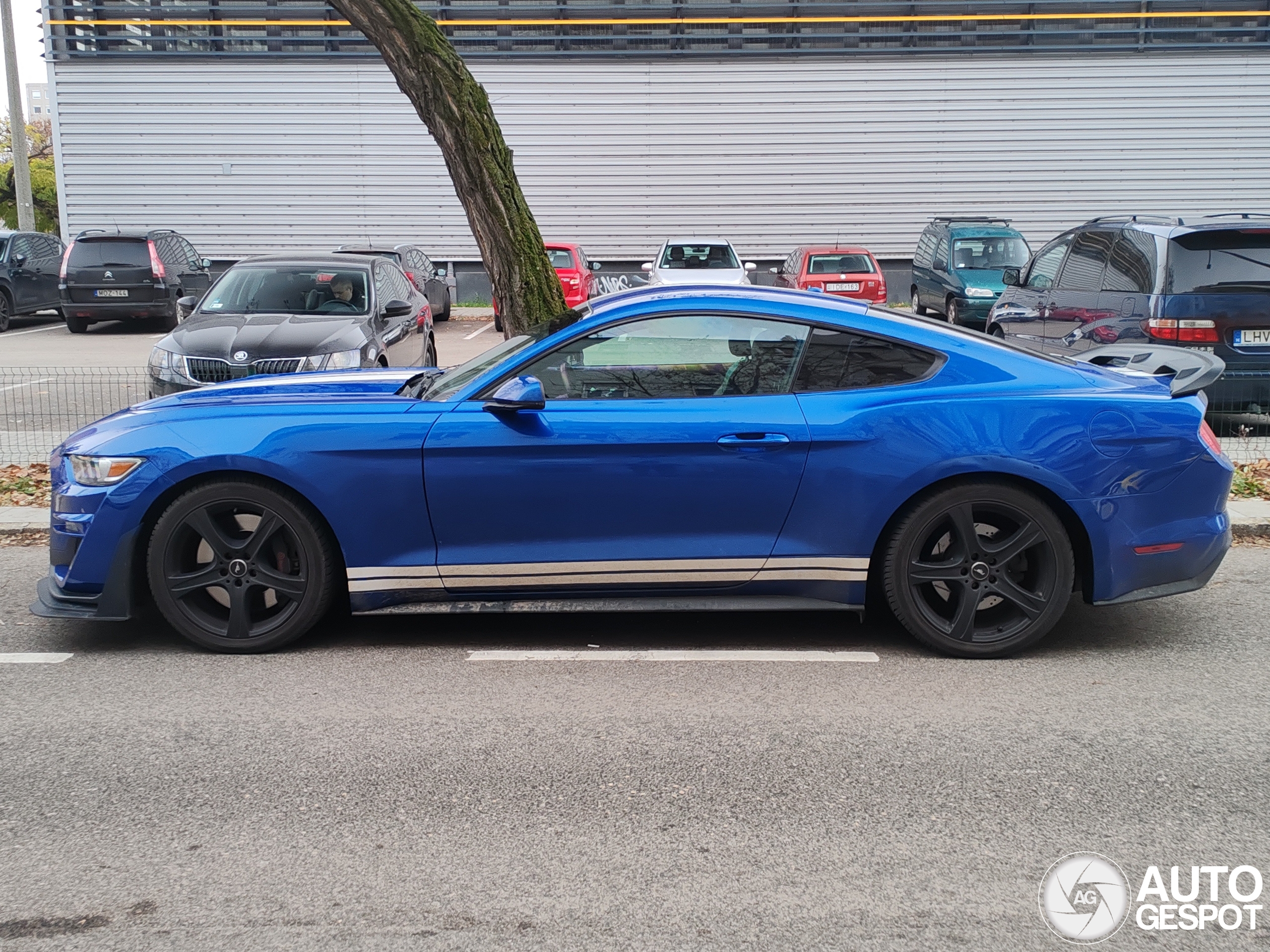 Ford Mustang GT 2015 13 December 2024 Autogespot