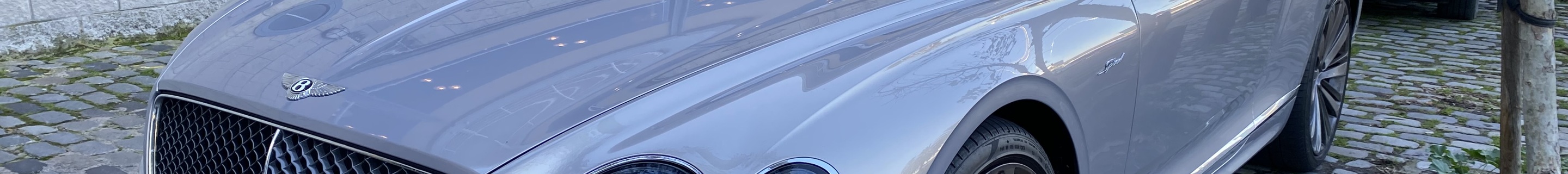 Bentley Continental GT Speed 2021
