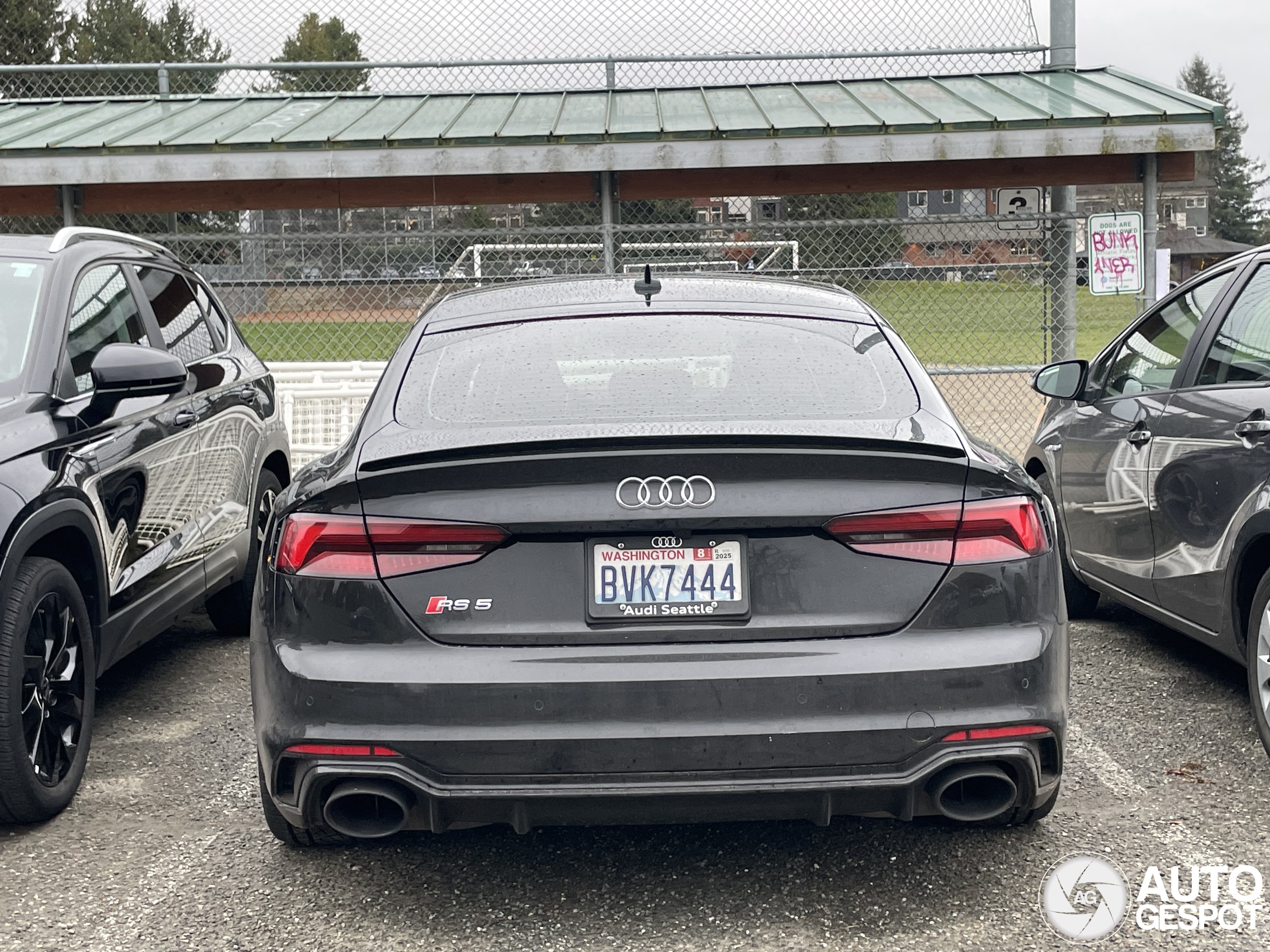 Audi RS5 Sportback B9