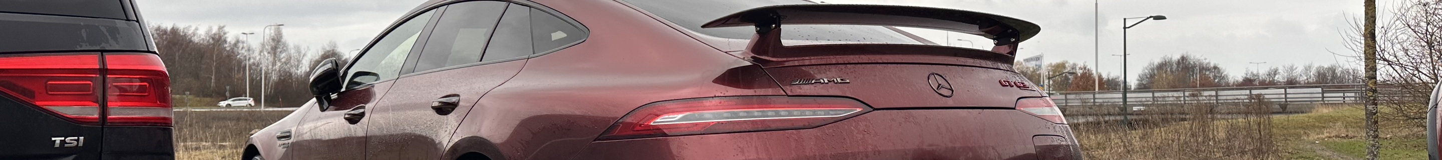 Mercedes-AMG GT 63 S E Performance X290