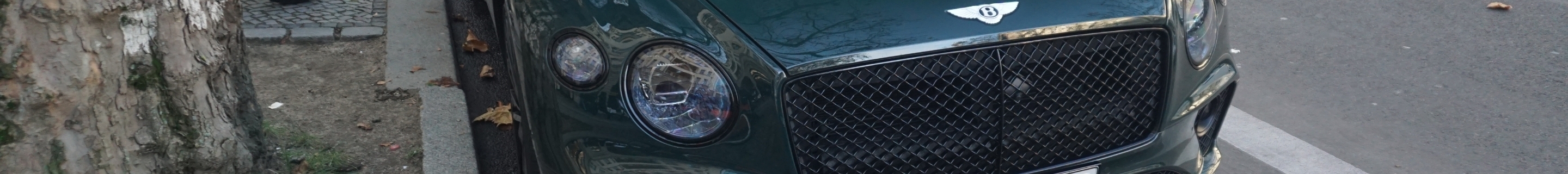 Bentley Continental GTC Speed 2021