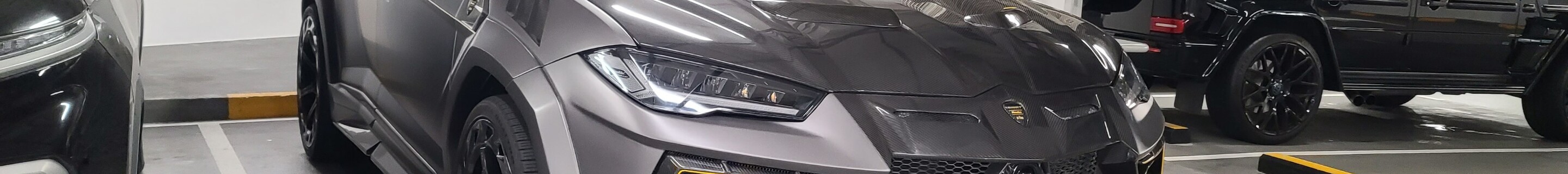 Lamborghini Urus Mansory Venatus