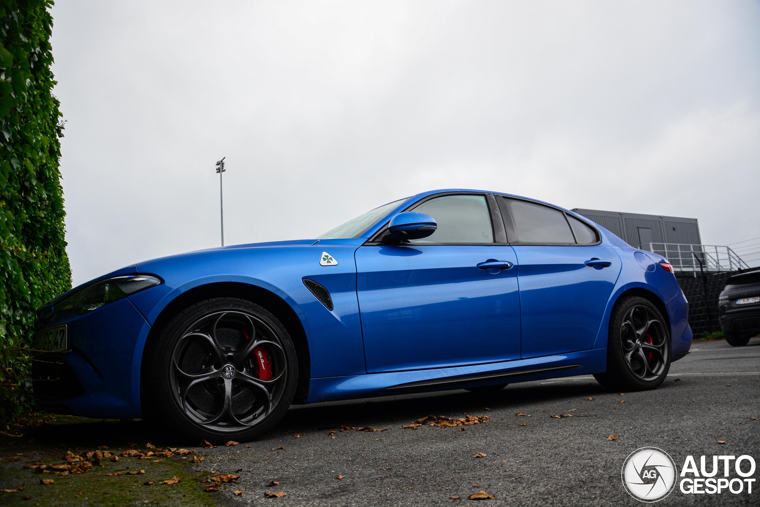 Alfa Romeo Giulia Quadrifoglio December Autogespot