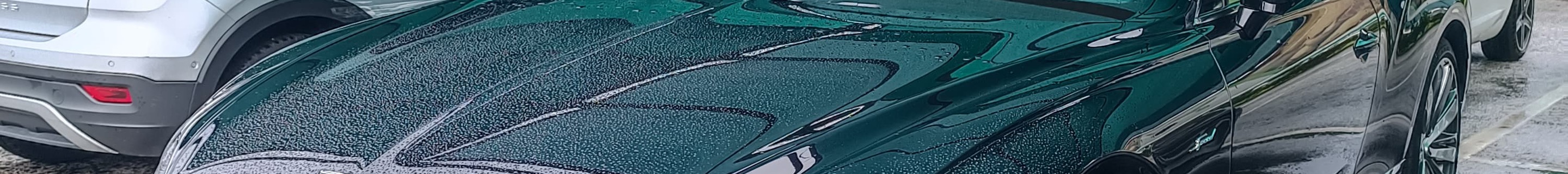 Bentley Continental GT Speed 2021