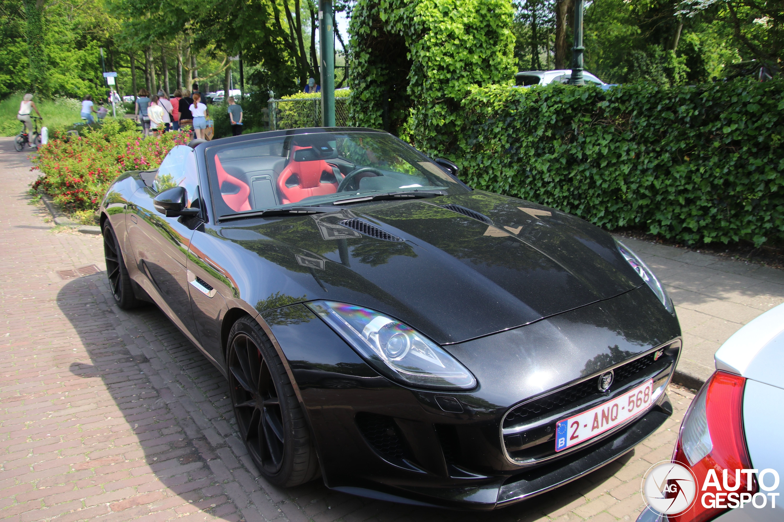 Jaguar F-TYPE S Convertible