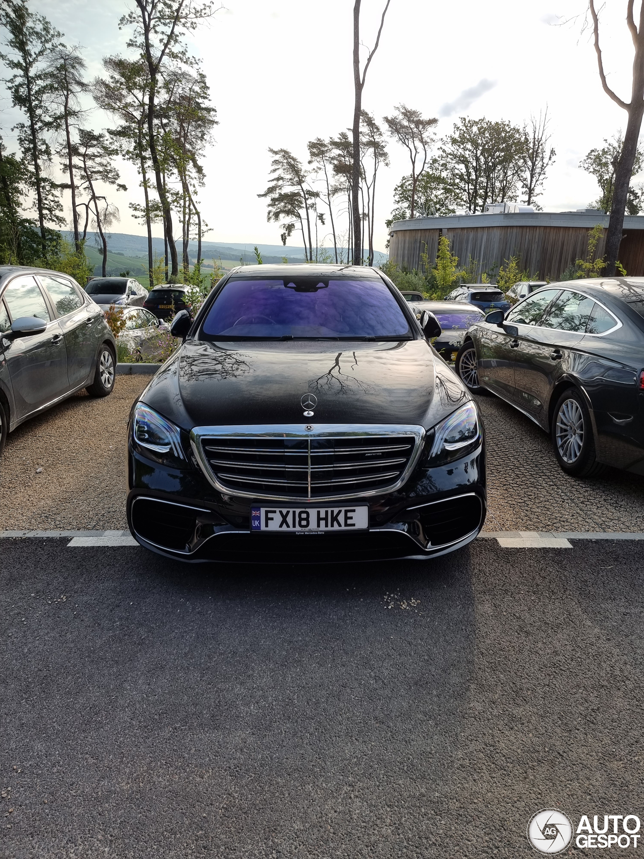 Mercedes-AMG S 63 V222 2017