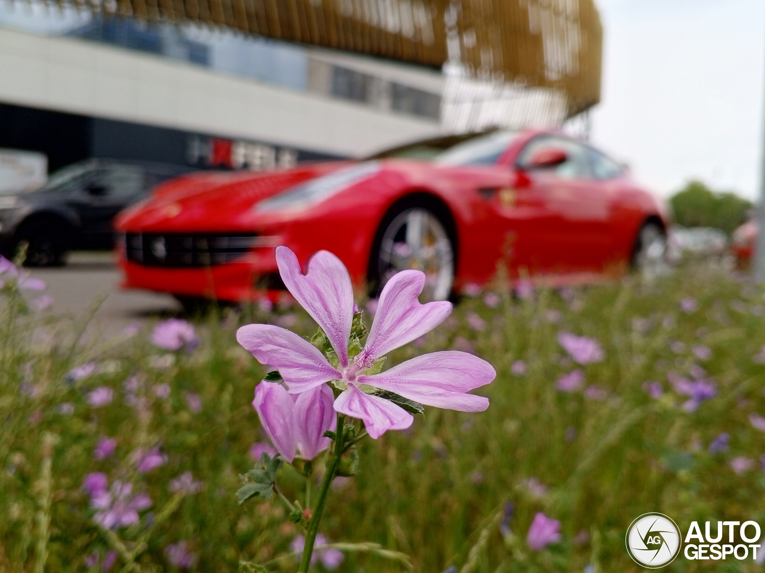 Ferrari FF