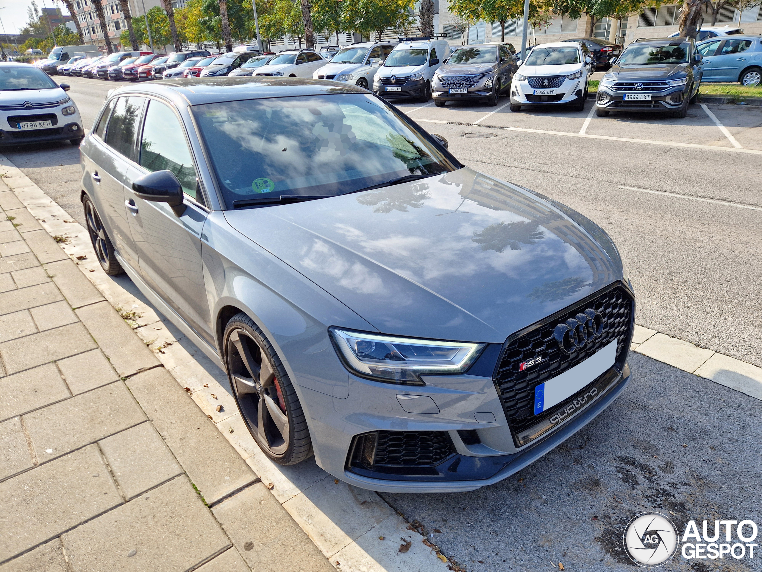 Audi RS3 Sportback 8V 2018