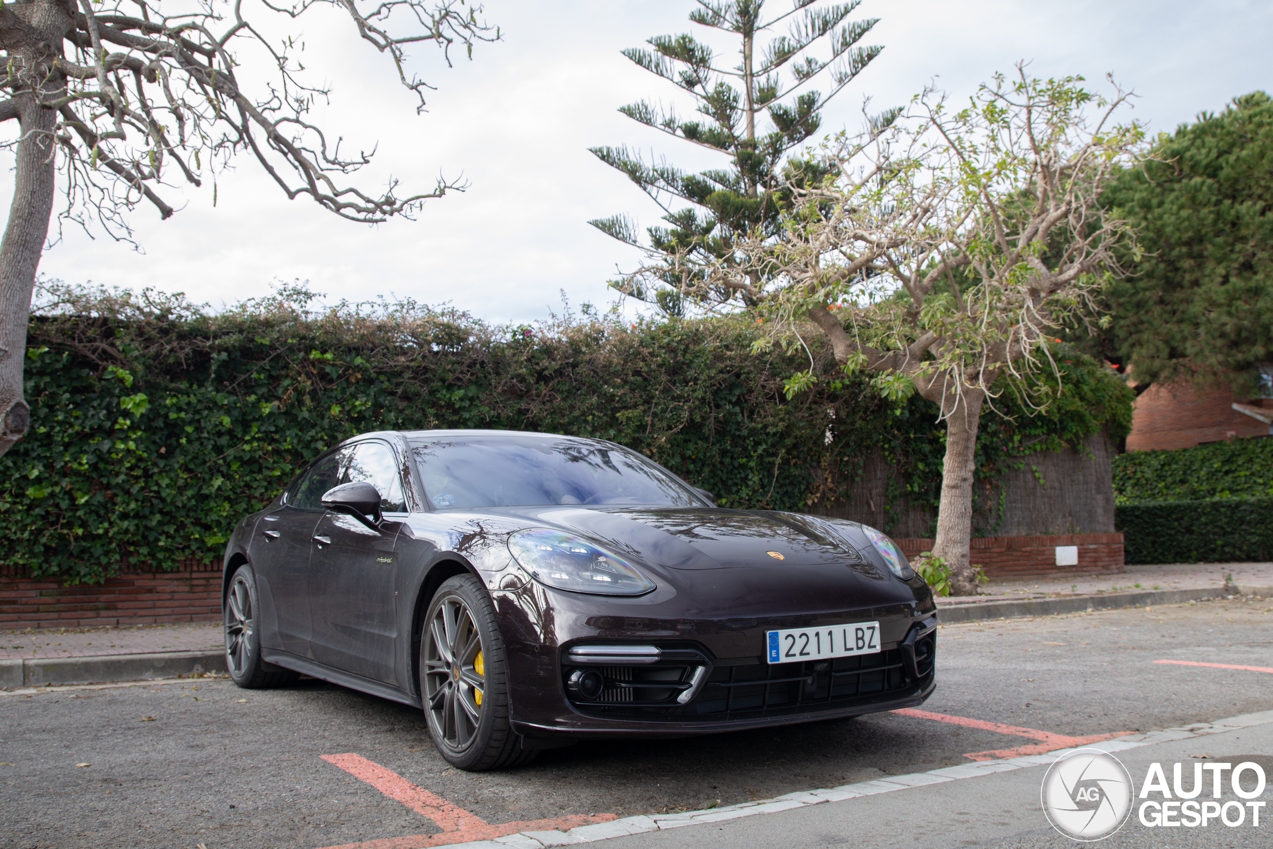 Porsche 971 Panamera Turbo S E-Hybrid MkI - 06 January 2025