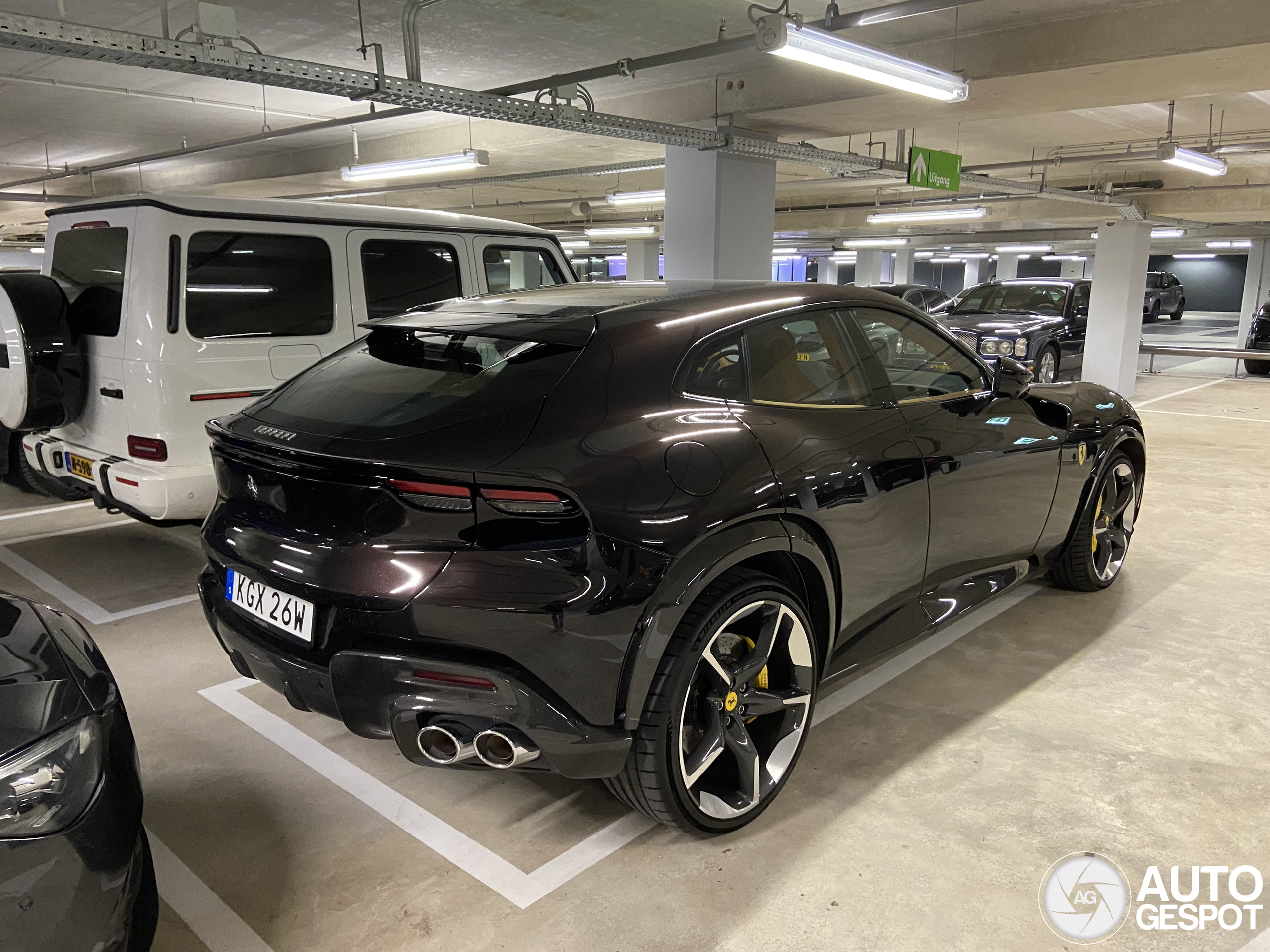 Ferrari Purosangue
